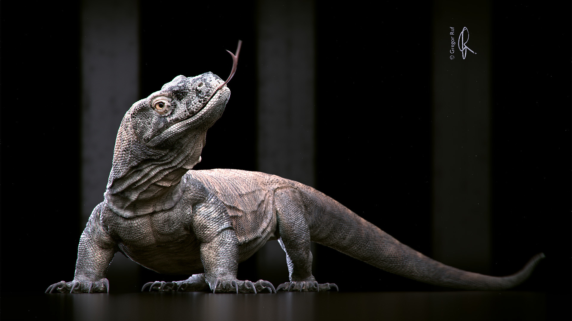 Komodo Dragon