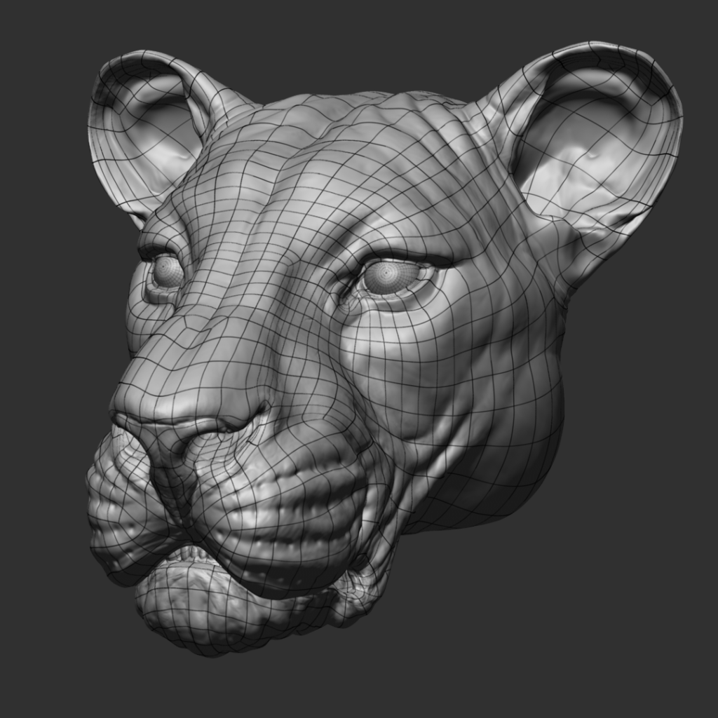 BPR_head_wire_Fin