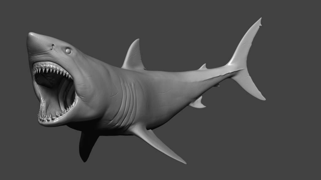 BPR_shark_01