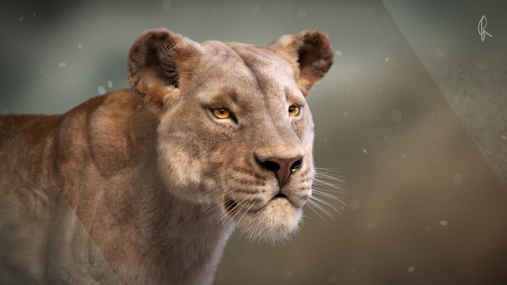 Lioness