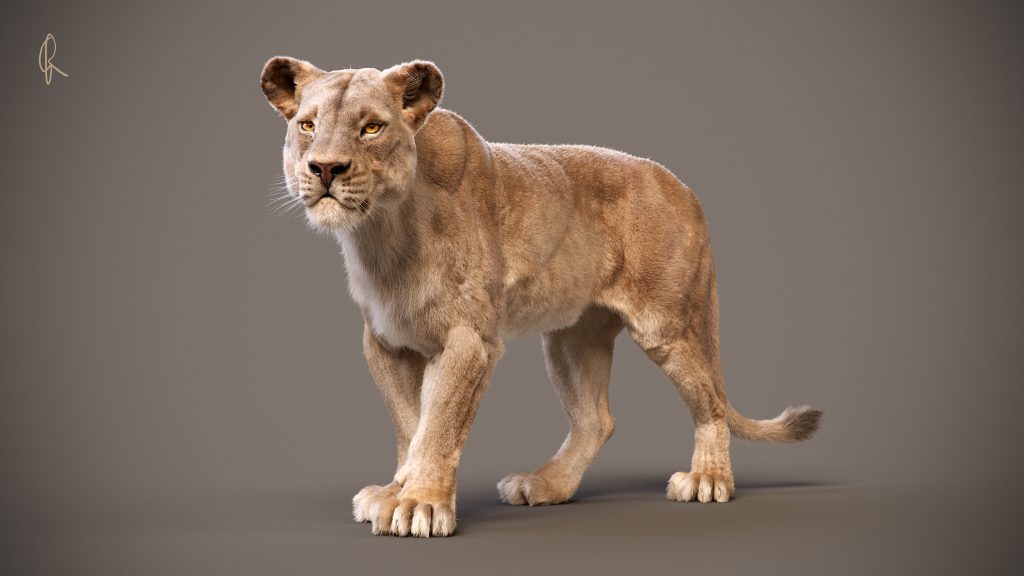 lioness_render_02_pose_01_RenderCam_04