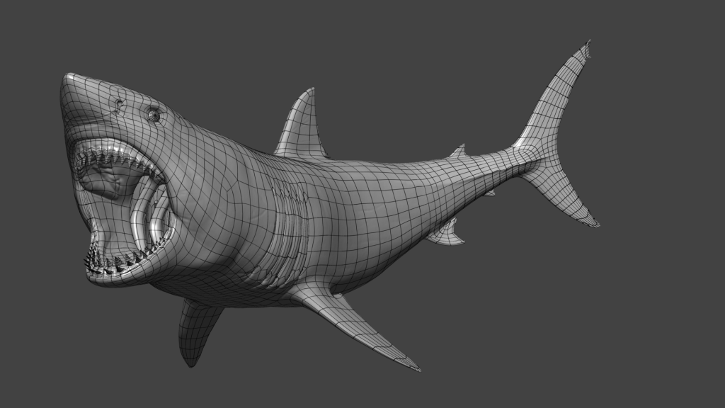 shark_wire_01